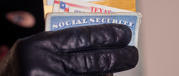 Close-up of gloved hand holding verious forms of ID cards, i.e. Driver's License, Social Security Card, etc.